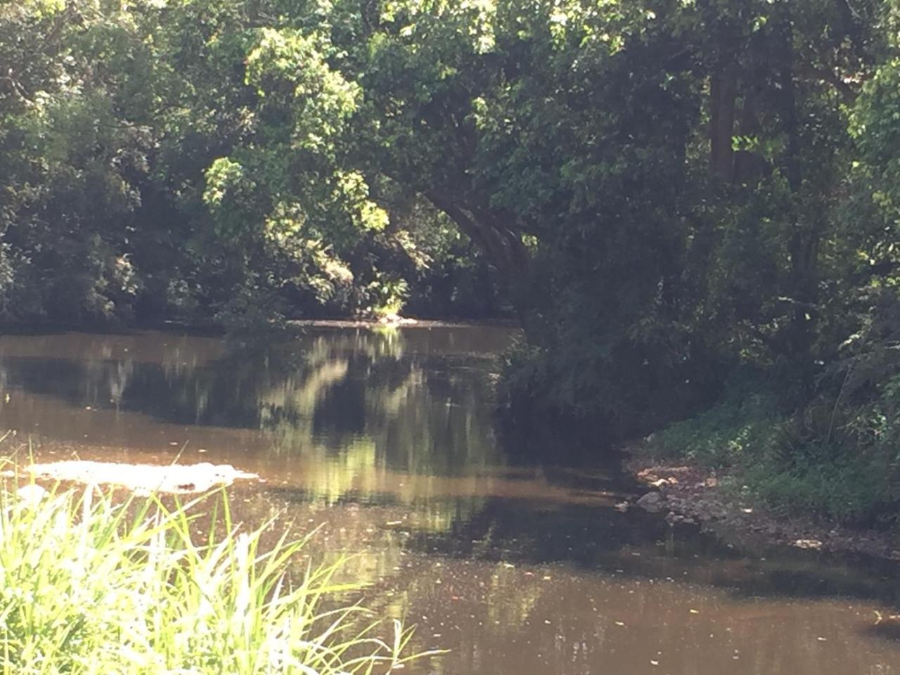 Yandina Caravan Park Dış mekan fotoğraf